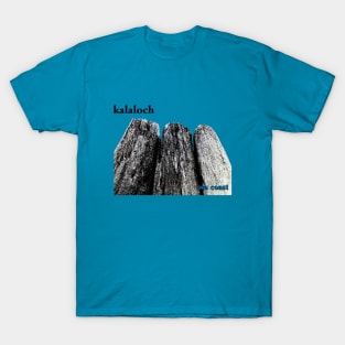 Kalaloch 2 T-Shirt